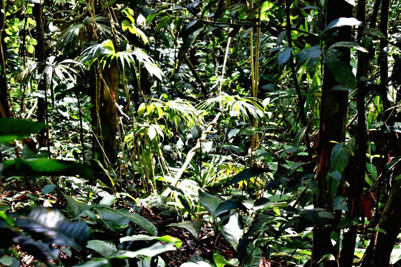 Monte Abi Mirador Chaguani Exterior photo